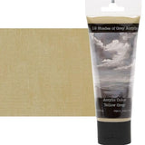 12 Shades of Grey Acrylic Paint Colors Highly Pigmented Grey Colors for Painting & Crafts Yellow Grey (75ml/2.5oz)