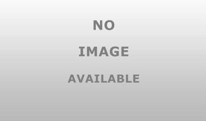 West Coast Accessories W1042ST Wheel Lug Nut & Install Kit, 80 Pack