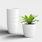 Yuccabe Italia Shera Stella 8 Inch Plastic Plant Pot For Home Decor Indoor Plant Pots For Living Room Plastic Flower Pot For Gar