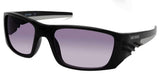 HarleyDavidson Mens Color Stripe Sunglasses, Black Frame/Gradient Smoke Lenses
