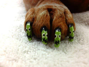 Warren London Pawdicure Dog Nail Polish Pens | Made in USA | Quick Dry, Low Odor, Non-Toxic Dog Accessories | Ideal for Dog Birt