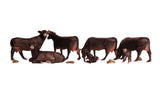 HO Black Angus Cows