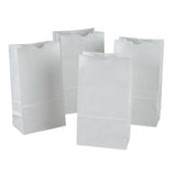 Rainbow Kraft Bags, 6X11, White, 50 Bags