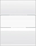 Business Voucher Check Stock - 1000 Sheets, Check in Middle, Platinum Pinstripe