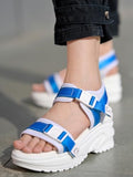 Shoetopia Comfortable & Sporty Sky-Blue Sandals For Women & Girls /Eu36,Blue,3,B0DRJCRYTB