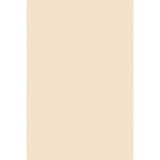Pacon Tagboard BOARD,TAG,12X18,100PK,MLA C4906AN#140 (Pack of10)