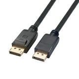 Axiom Displayport Cable 10Ft