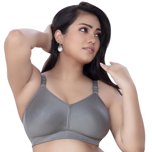 Trylo Riza T-Fit-40-Grey-D-Cup,GREY,40,B0CKBXKRT6