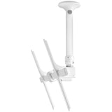 Atdec Ceiling Mount For Large Display, Short Pole Loads Up To 143Lb White 