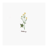 Ecomistiq Embroidery Starter Kit With Pre Printed Pattern Needlework Craft Buttercup | Stitch Kits | Hand Embroidery Kits | Embr