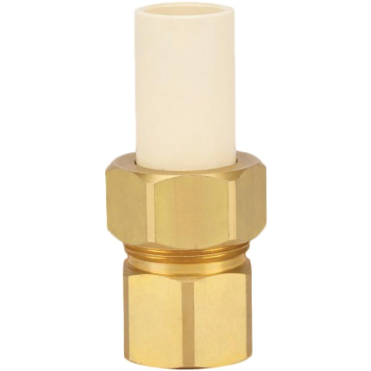 Transition Fttng 1/2Fpt(Pack Of 1)