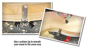 Amana Tool 45479 Carbide Tipped Flush Trim Plunge Template 9/16 D x 3/4 CH x 1/4 Inch SHK w/ Upper Ball Bearing Router Bit