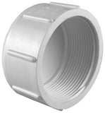 CAP SCH40 PVC 2FPT (Pack of 10)