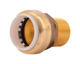 CONNECTOR MNPT 1 (Pack of 1)