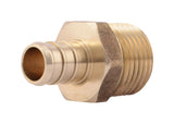 PEX BARB ADPTRT 1/2 (Pack of 1)