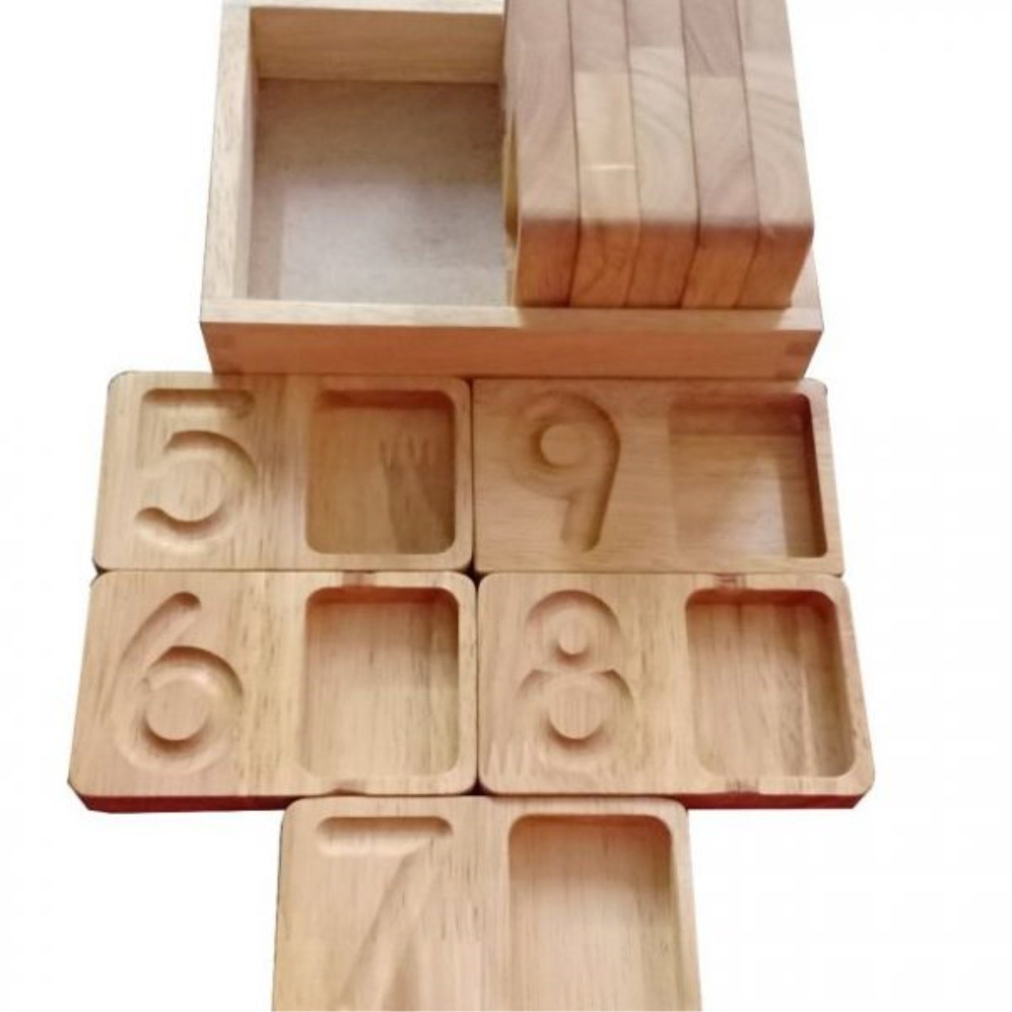 Writing And Counting Trays