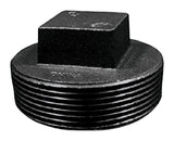 Plug Sq Head 3 Black (Pack Of 1)