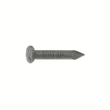 NAIL MSN BRT 2 1# (Pack of 1)