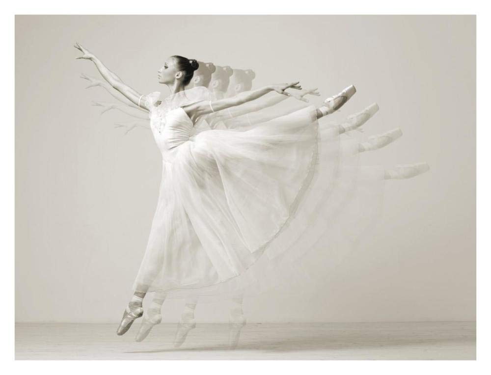 Leaping Beauty-Paper Art-34,,X26,,