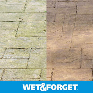 Wet & Forget Outdoor Moss, Mold, Mildew, & Algae Stain Remover Multi-Surface Cleaner, Xtreme Reach Hose End Refill, 48 Fluid Oun