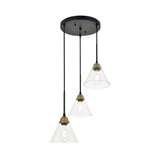 Elegant Lighting Living District Indoor Modern Home Decorative Bright Ceiling Histoire 3 Light Brass And Black Pendant