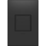 Legrand adorne 20Amp 1Gang PopOut Outlet in Graphite With Matching Wall Plate, ARPTR201GG2WP
