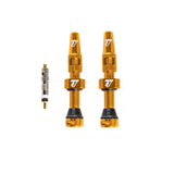 Trail One Components Tubeless Valve Stem V2 40mm - Orange