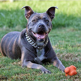 Sodapup Crazy Bounce - Durable Dog Ball Toy & Chew Toy Made In Usa From Non-Toxic, Pet-Safe, Food Safe Natural Rubber Material F