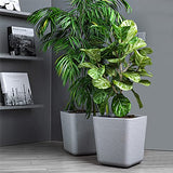 Bello Sereno Square 15 D X 16H Inch Plastic Flower Pots For Home / Office Decor, Eco Friendly Pots For Indoor / Outdoor & Balcon