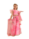 Pspeaches Girls Cotton Blend Lehenga Choli, pink, 2-3 Jahre
