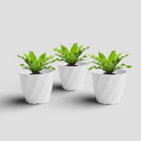 Yuccabe Italia Shera Swirl 8 Inch Plastic Flower Pot Set Of 3 Pices Round Planter Pot Plastic Gamle Suitable For Indoor And Outd