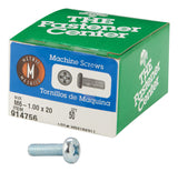 Ph Pn M/S Zn M6-1.00X20 (Pack Of 1)