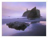Ruby Beach With Seastacks And Boulders, Olympic National Park, Washington-Paper Art-26,,X20,,