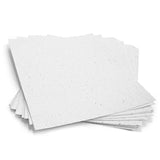 Basil Seed Paper, Seed Paper, Seed Embedded Paper, plantable Paper, Germination Paper, Germination plantable Paper, Stationery,