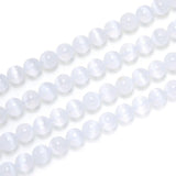 60pcs Adabele Natural White Selenite Crystal Gemstone Not Dyed 6mm Round Beads