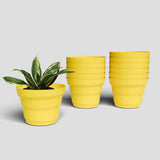 Yuccabe Italia Shera Ring 6 Inch Round Plastic Flower Pot Pack Of 12 Pcs Pots For Plants Plastic Gamley For Home Garden Seedling