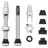 Wolf Tooth Tubeless Valve Stem Kit for Clik Valve - 44mm Raw Silver