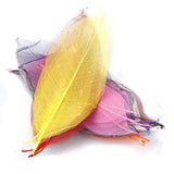 Enakshi 60x50Pcs Natural Magnolia Leaf Leaves Card Scrapbook Mixed Color|Crafts | Scrapbooking & Paper Crafts | Scrapbooking |