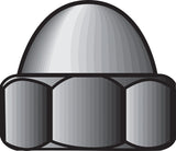 Acorn Nts Presd 10-24 (Pack Of 1)