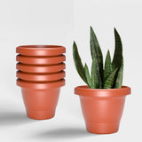 Yuccabe Italia Shera Sd 10 Inch Pack Of 6 Pcs Plastic Flower Pot Unbreakable Round Shape Planter Plastic Gamle For Garden Seedli