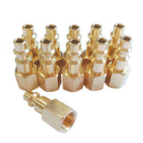 Beduan Solid Brass Air Hose Fittings 1/4NPT Female Thread Quick Connect Air Hose Fittings (Industrial Type D,11Piece)