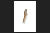 Buckybites Antler Dog Treat Chews Medium Antler Stick