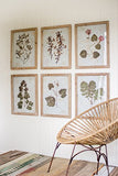 Kalalou Chh1133 Prints Under Glass, Clear