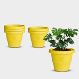 Yuccabe Italia Shera Rd 12 Inch Plastic Flower Pots Set Of 6 Pcs Round Shape Gamle Planters For Outdoor And Indoor Garden Plasti