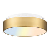 AUTELO LED Close to Ceiling Light Fixture 12 LED 18W Flush Mount Ceiling Light Fixtures with Frosted Glass Shade in Brass Finish