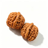 Wenwan Walnut, Hand Exercise Relief Tool, Wen Wan Walnuts, wenwan Walnuts for Mindfulness and Relaxation