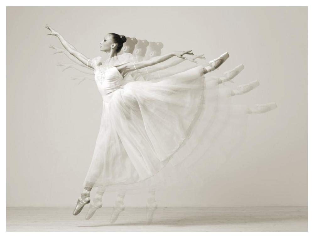 Leaping Beauty-Paper Art-50,,X38,,