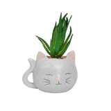 Chumbak Ceramic Planter 1 Pc Grey Novelty Plant Pot, Durable Indoor Planter For Succulents & Small Plants, Modern Home, Desk &