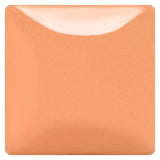 Mayco Stroke & Coat SC-102 Just Peachy Peach Pink Gloss Wonderglaze Pint, 16 oz. (473 mL), Low/Mid-High Fire (SC) Liquid Ceramic