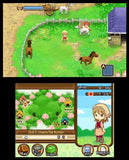 Harvest Moon: Tale Of Two Towns - Nintendo 3Ds